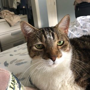 Meet your Posher, Troy